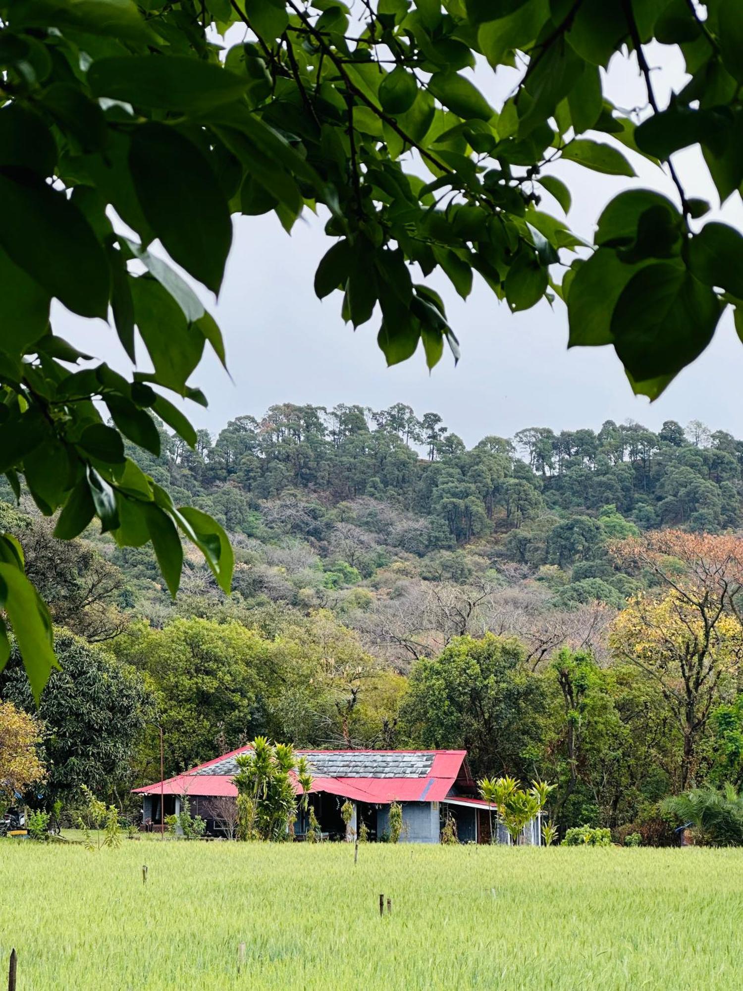 Auberge de jeunesse Dreamwoods A Travellers Farm à Dharamshala Extérieur photo